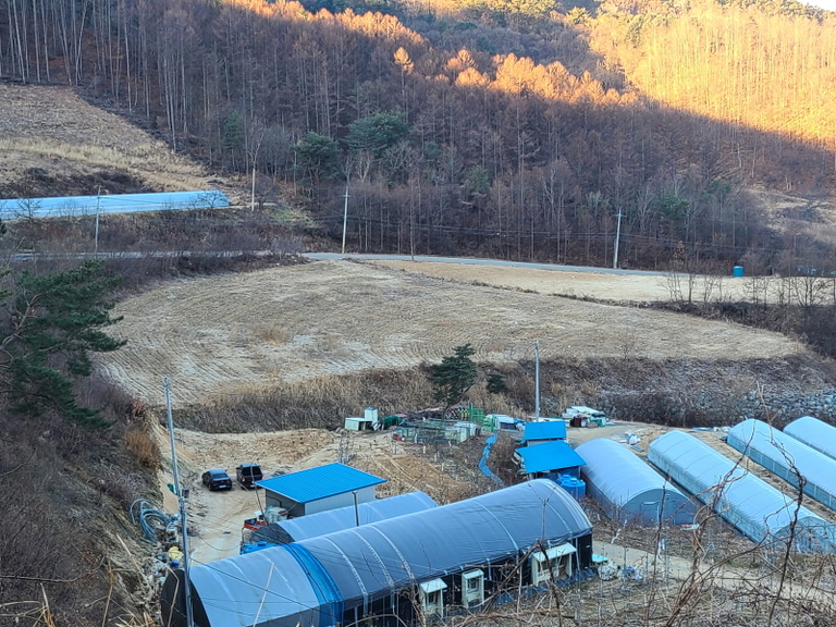 양구읍 공수리       전 2440평     