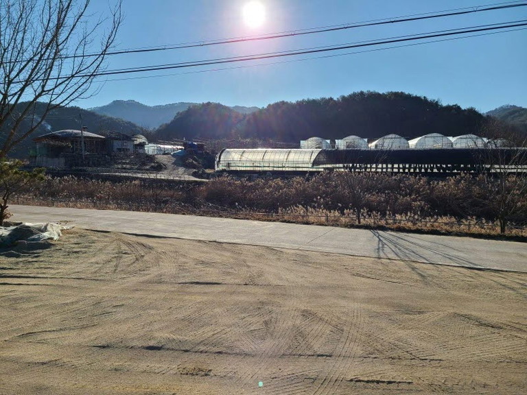 양구군 국토정중앙면 청리  