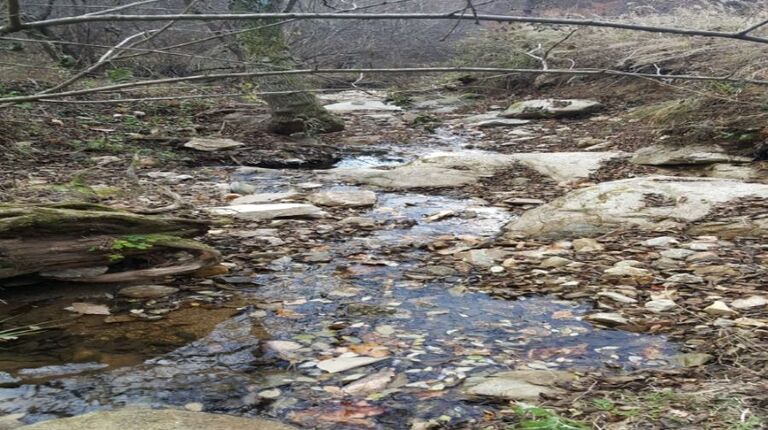 양구군   국토정중앙면      매매가격 2,000만원  :   청리  전 474평,    생산관리 